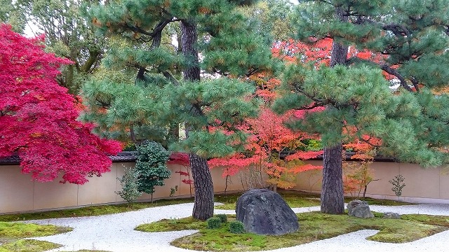 廬山寺で金運アップ！京都の強力なパワースポットの穴場